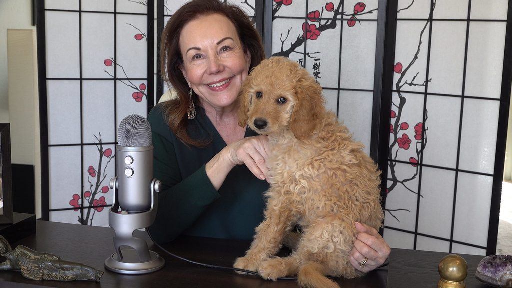 Debra Stangl & Beuaregard