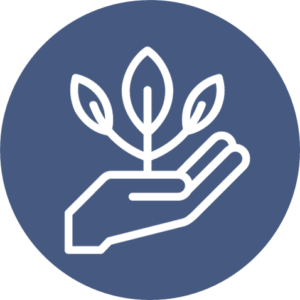 Personal and Business Growth